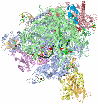 Image Asym./Biol. Unit - sites