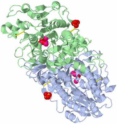 Image Asym./Biol. Unit