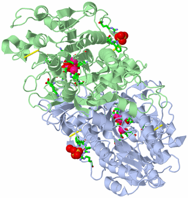 Image Asym./Biol. Unit - sites