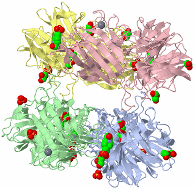 Image Asym./Biol. Unit