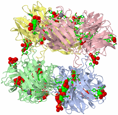 Image Asym./Biol. Unit - sites