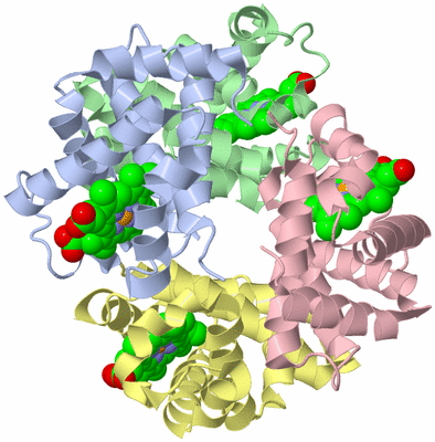 Image Asym./Biol. Unit