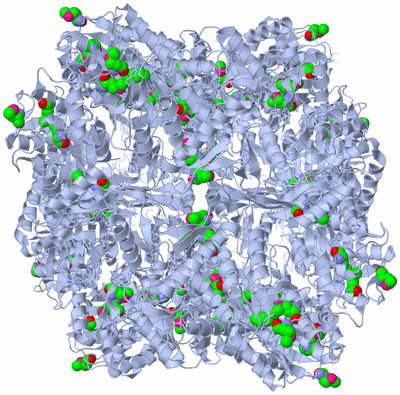 Image Biological Unit 2