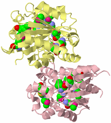 Image Biological Unit 2
