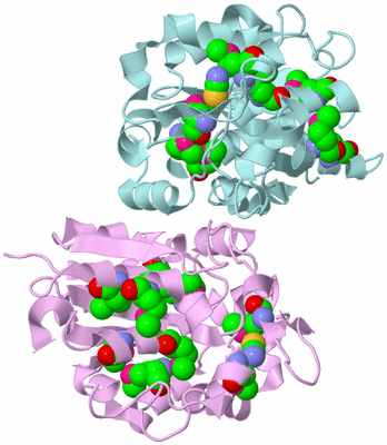 Image Biological Unit 3
