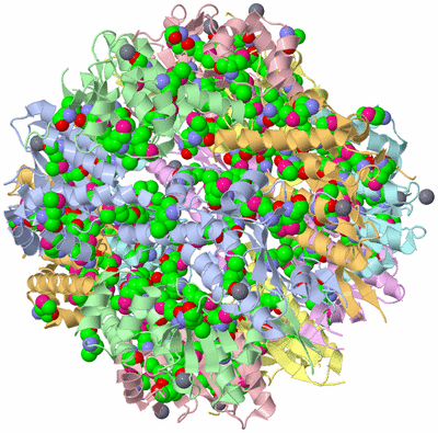 Image Biological Unit 1