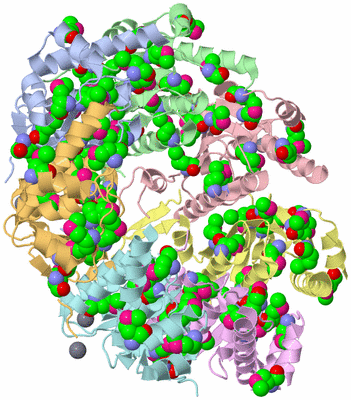 Image Biological Unit 2