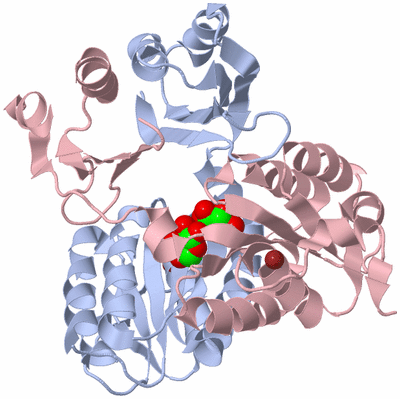 Image Biological Unit 1