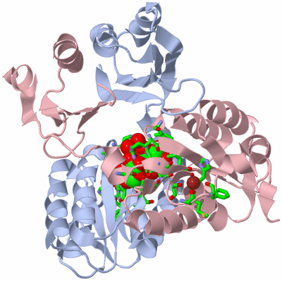 Image Biol. Unit 1 - sites