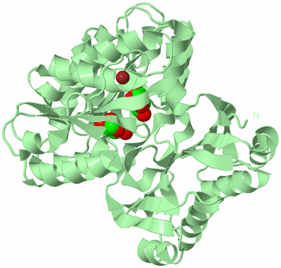 Image Biological Unit 2