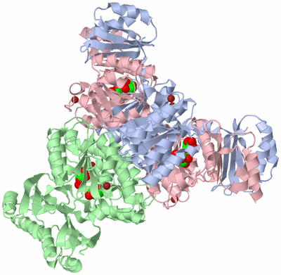 Image Biological Unit 3