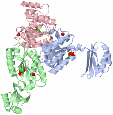 Image Biological Unit 4