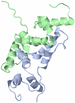 Image NMR Structure - model 1
