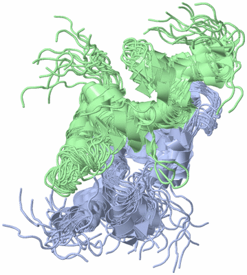 Image NMR Structure - all models