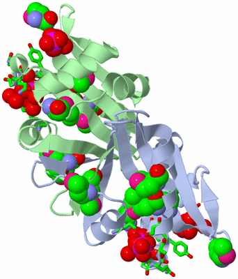 Image Asym./Biol. Unit - sites