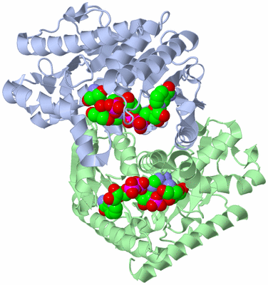 Image Asym./Biol. Unit