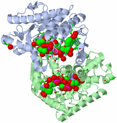 Image Asym./Biol. Unit - sites