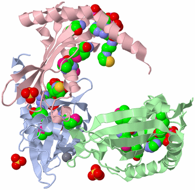 Image Asymmetric Unit
