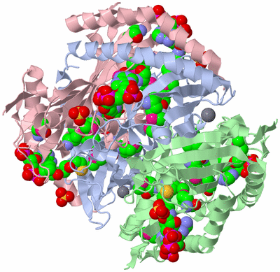 Image Biological Unit 1