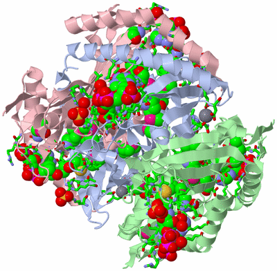 Image Biol. Unit 1 - sites