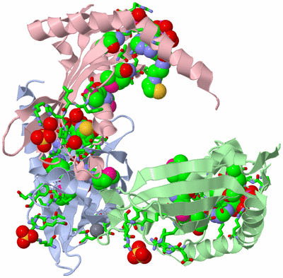 Image Asym. Unit - sites