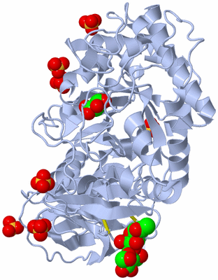 Image Biological Unit 1