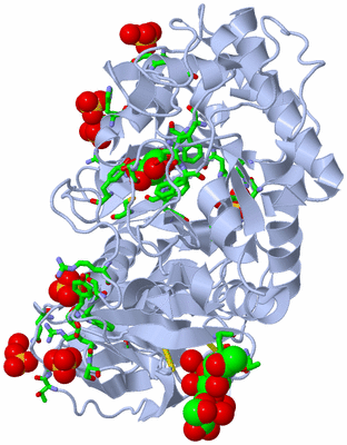 Image Biol. Unit 1 - sites