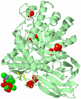 Image Biological Unit 2