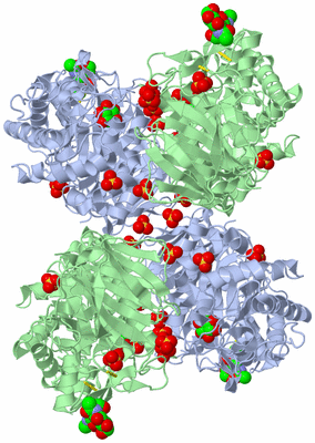 Image Biological Unit 3