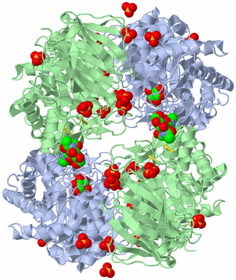 Image Biological Unit 4