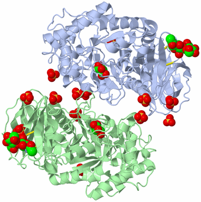 Image Biological Unit 5