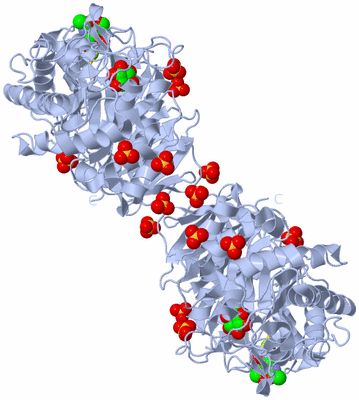 Image Biological Unit 6