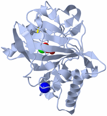 Image Biological Unit 1