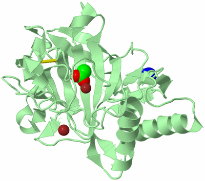 Image Biological Unit 2