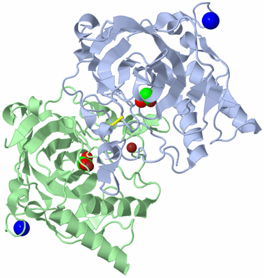 Image Biological Unit 3