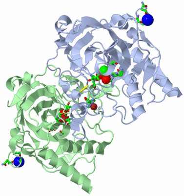 Image Asym. Unit - sites