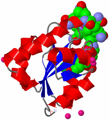 Image Asym./Biol. Unit