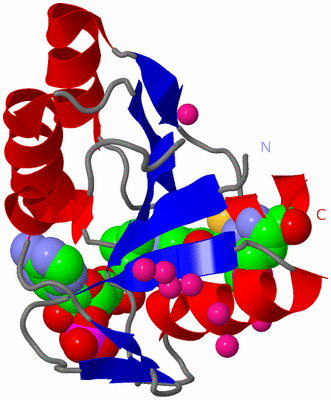 Image Asym./Biol. Unit