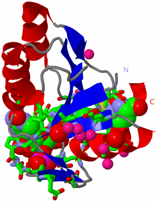 Image Asym./Biol. Unit - sites