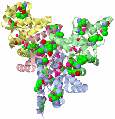 Image Biological Unit 1