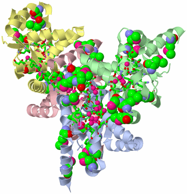 Image Biol. Unit 1 - sites