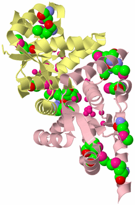 Image Biological Unit 2