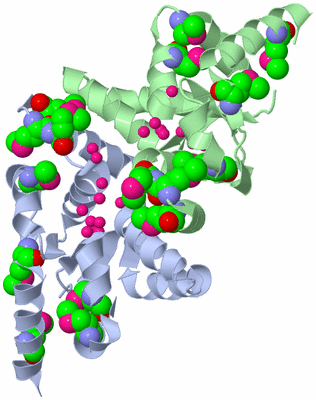 Image Biological Unit 3