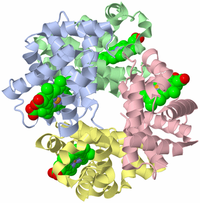 Image Asym./Biol. Unit