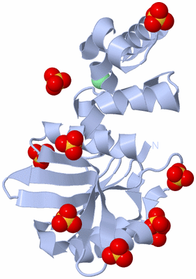 Image Biological Unit 3