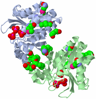 Image Asym./Biol. Unit