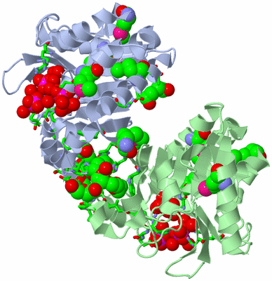 Image Asym./Biol. Unit - sites