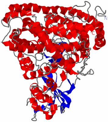 Image NMR Structure - model 1