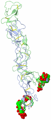 Image Asym. Unit - sites