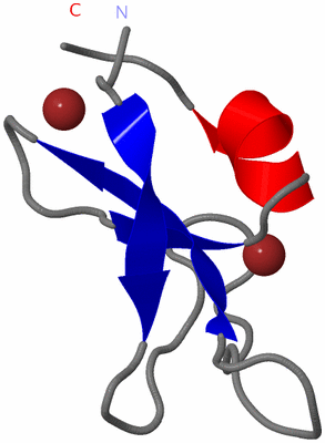 Image NMR Structure - model 1